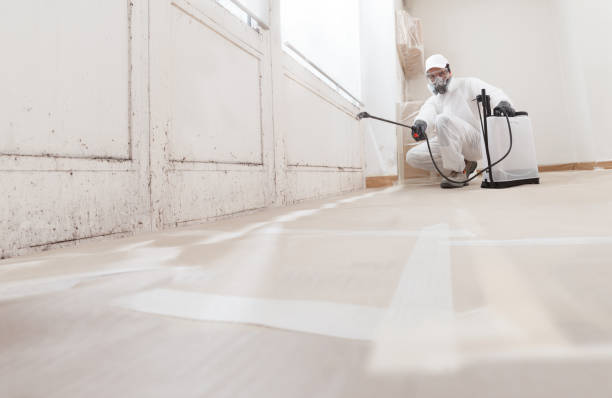 Trusted Crawl Space Mold Removal service in Forest Hill, MD - WQB Mold Removal
