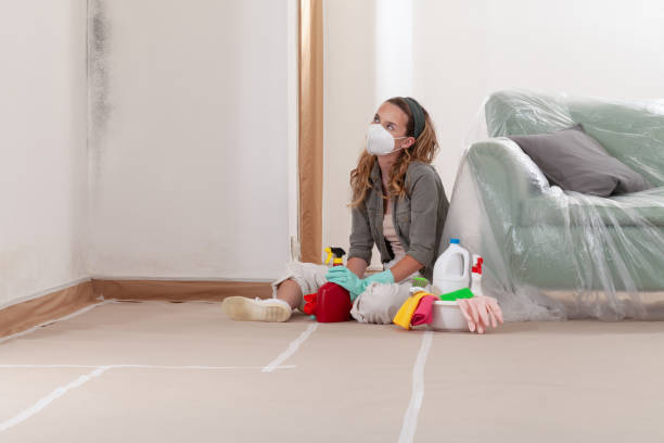 Reliable Crawl Space Mold Removal contractor in Forest Hill, MD by WQB Mold Removal